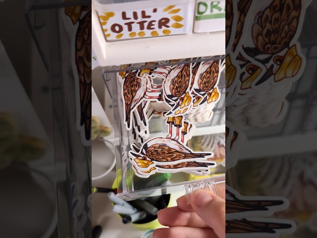 How I organize nearly 50 different sticker designs