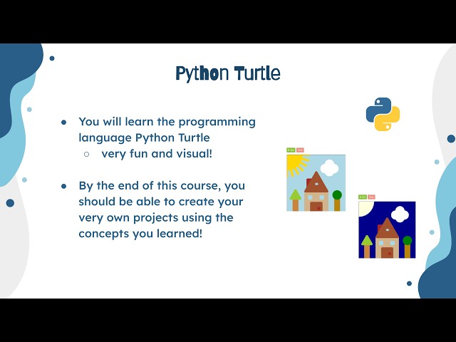 Python Turtle - Overview