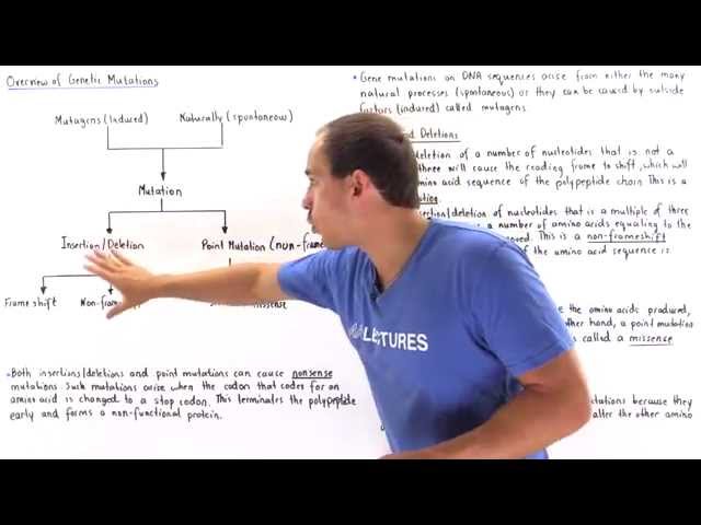 Summary of Gene Mutations