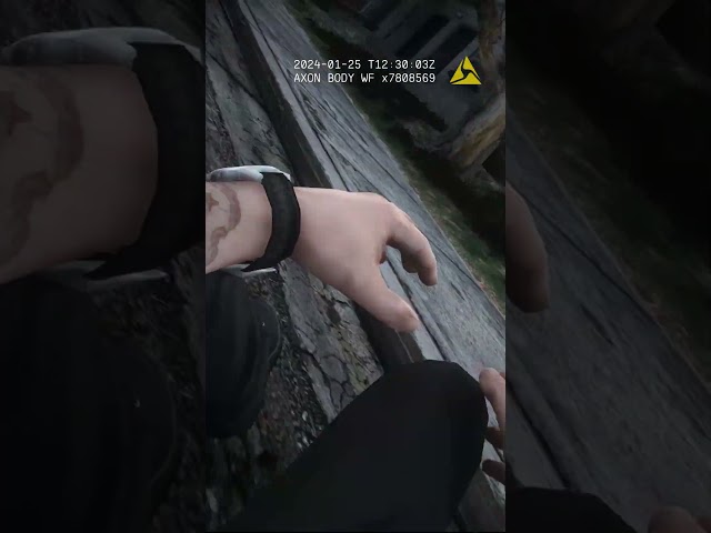🌳👮‍♂️ When nature calls, it’s not always what you expect!  #police  #cops #livepd #dashcam