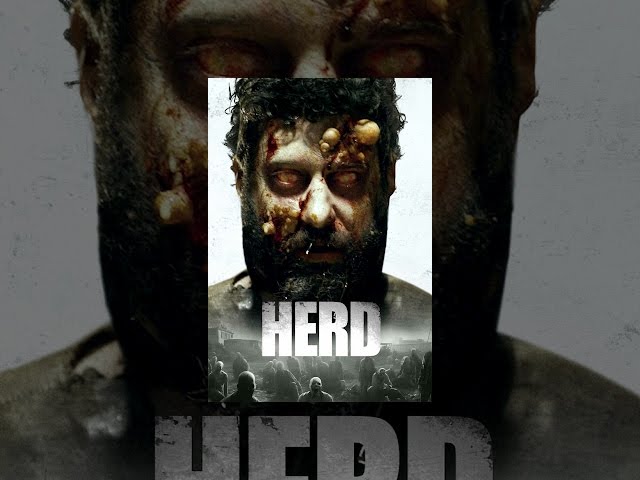 Herd