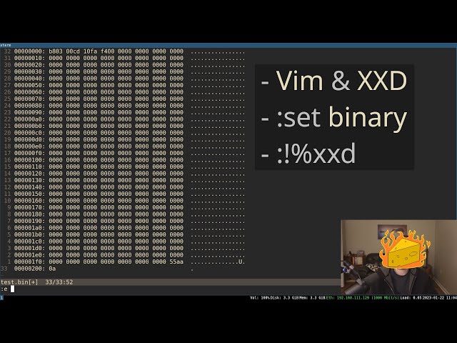 Basic Hex Editing With Vim/XXD