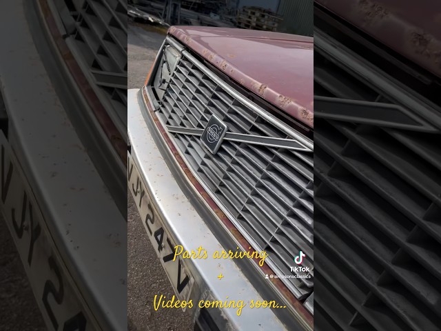 Abandoned Volvo 245 DL - Sat for 18 Years - Will it live again?