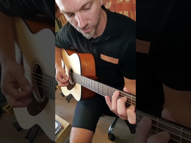 The Yamaha FG800M: Frank's recommendation for you :) €279