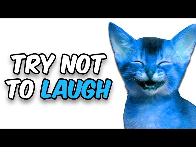 Try Not to Laugh!!! (NASHIRANKS EDITION)