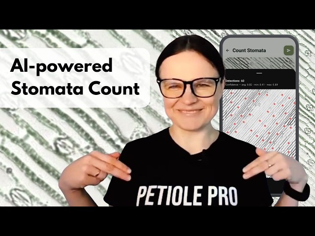 AI Stomata Count from Photos