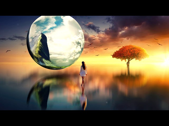 DREAMING COOPER - Wide Spectrum