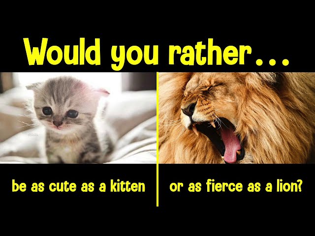 Would You Rather | Animal Choice Quiz | Personality Test