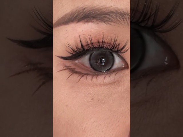 Easy Eyeliner Technique for Beginners | Simple Step-by-Step Eyeliner Tutorial #makeupbyariel