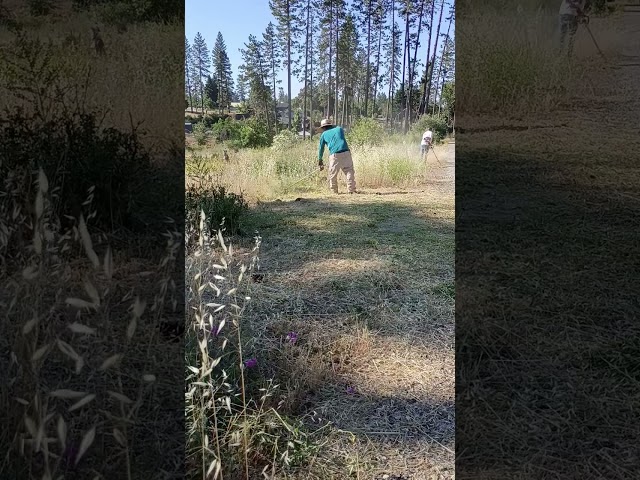 Fire Fuel reduction lot clearing. #Paradiseca #norcal #firesafety #cleanup @codegaming_yt7704