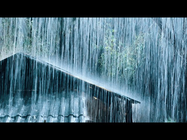 Relax & Fall Asleep In Minutes With Huge Rain On Tin Roof & Powerful Thunder Sounds | White Noise
