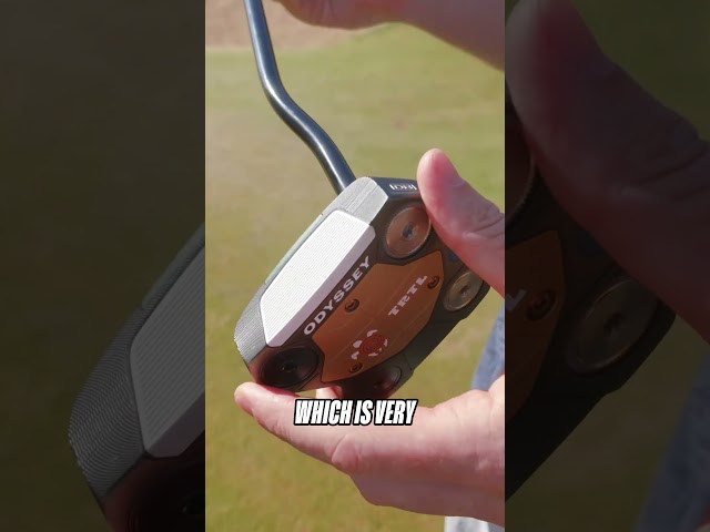 BRAND NEW Odyssey Turtle putter 😍🐢