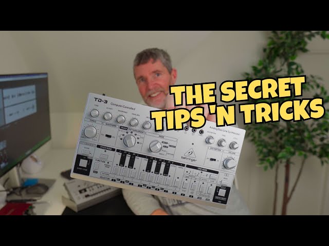 Programming the 303 is easy! (ft BEHRINGER TD-3)