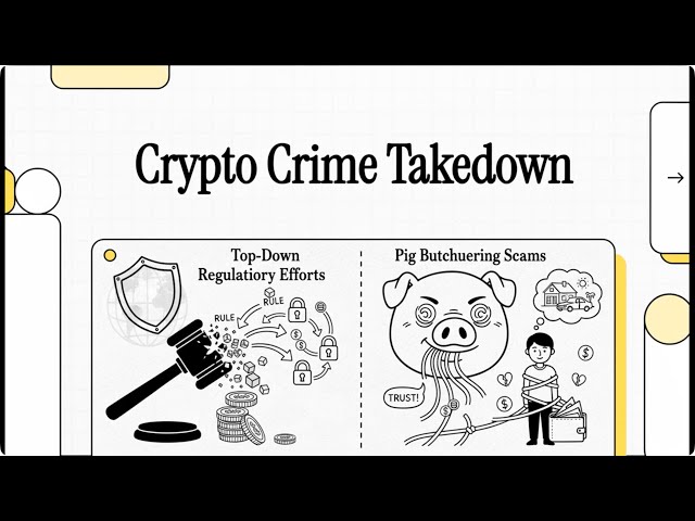 Crypto Crime Takedown: FATF's Travel Rule and the Rise of 'Pig Butchering' Scams【Dr. Deric】
