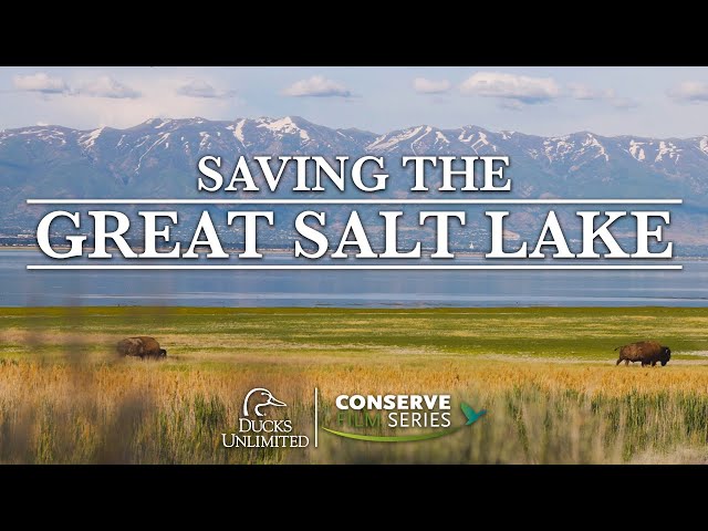 Saving the Great Salt Lake | DU Conserve