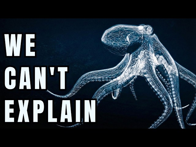 Nothing About the Octopus Belongs on Earth...