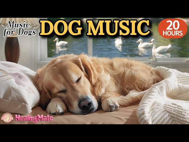 20 HOURS of Dog Calming Music🐶🎵Relaxing Music for Dog Separation Anxiety🐶💖Deep Sleep Music for Dogs