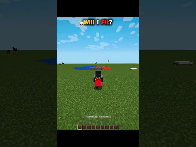 Minecraft Will I Fit Moment