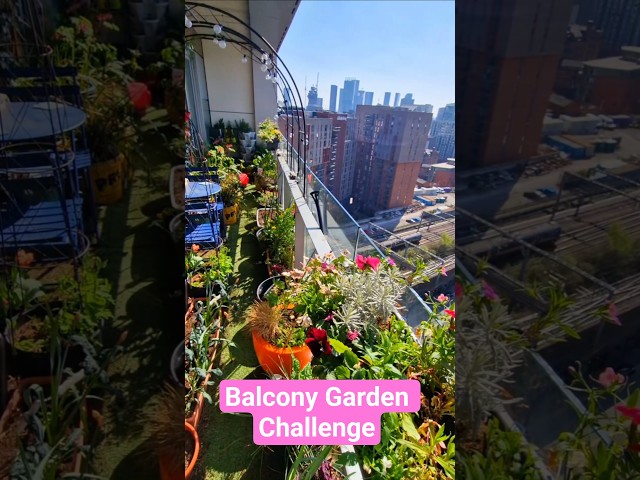 National Trust's Sky Gardening Challenge 2026