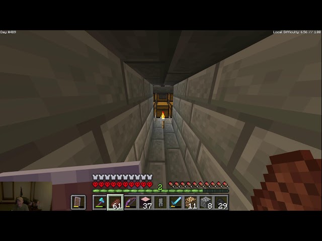 Turtle hermit Hardcore #Minecraft Week 70 nearly prepared to start building the Capitol