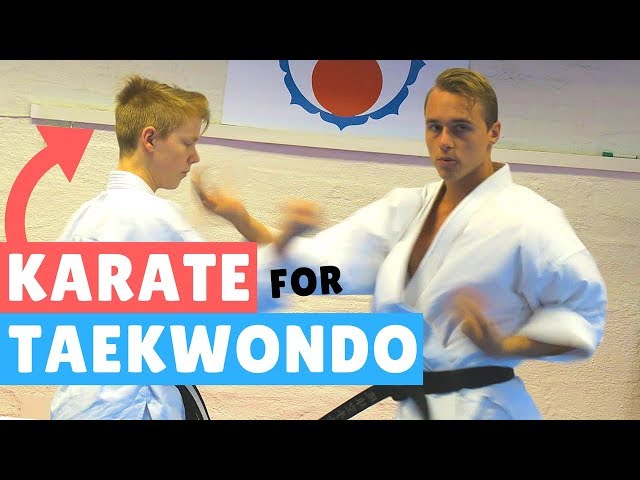 12-HOUR KARATE SEMINAR AT TAEKWONDO SCHOOL — Jesse Enkamp