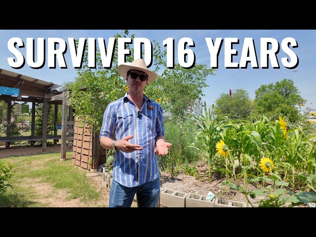 How a Dumping Ground Became a Beautiful San Antonio Garden