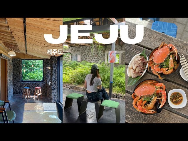 3 DAYS IN JEJU KOREA 🦀 🍶 cafe hopping, what i ate, alpaca ranch (EP 1)