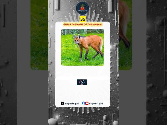 Animal Quiz Shorts Challenge #triviachallenge #quizgame #brightestquiz #animalshorts #fypシ゚viral