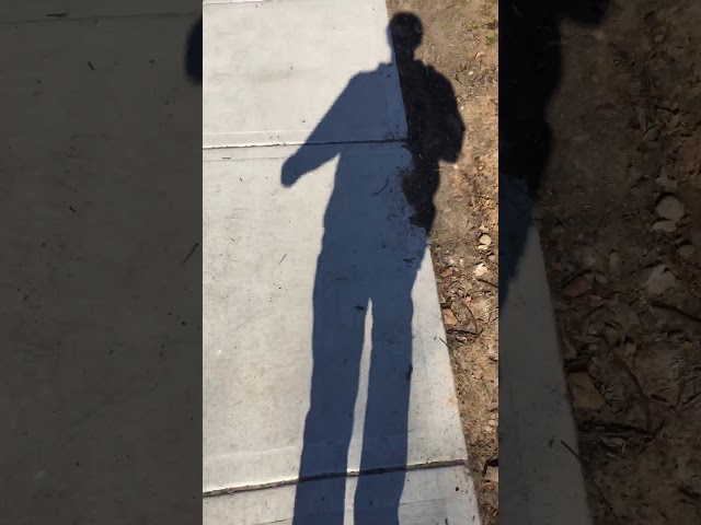 how to walk