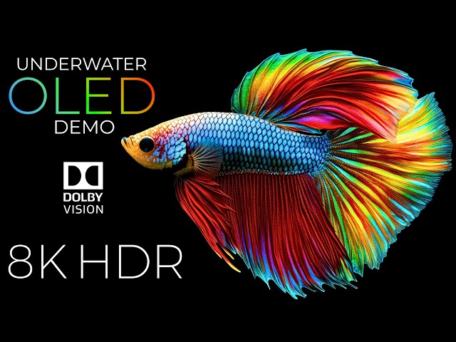 Underwater Wonders OLED Demo HDR 8K Ultra HD Dolby Vision™ 60fps