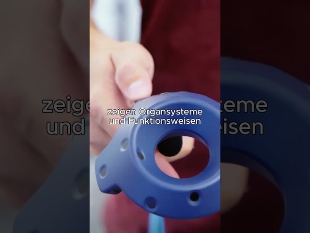 Nacht der Wissenschaft - Programmhighlight VR-Anatomie