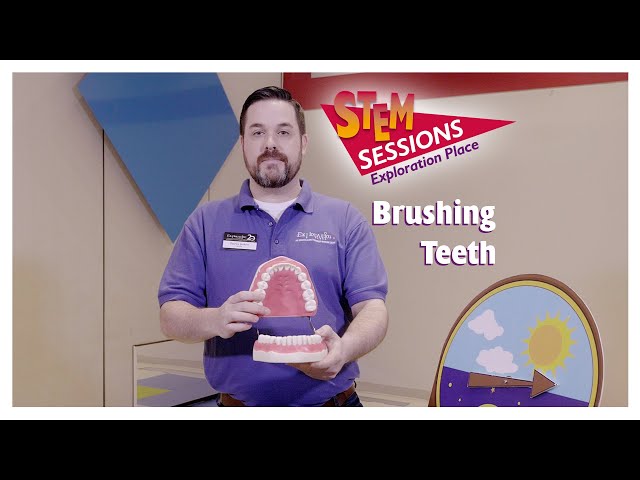 Brushing Teeth | STEM Session | Delta Dental