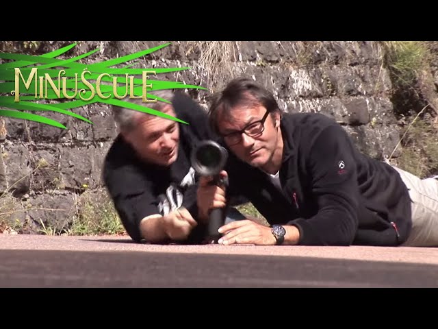Minuscule Valley Of The Lost Ants - 2CV (Making Of)