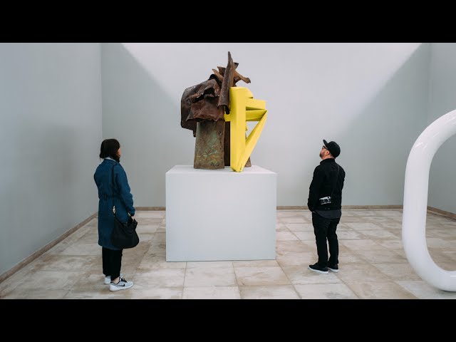 Inside the Biennale in 360° | Ep. 7: Carol Bove