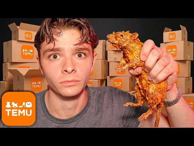 testing food from TEMU...