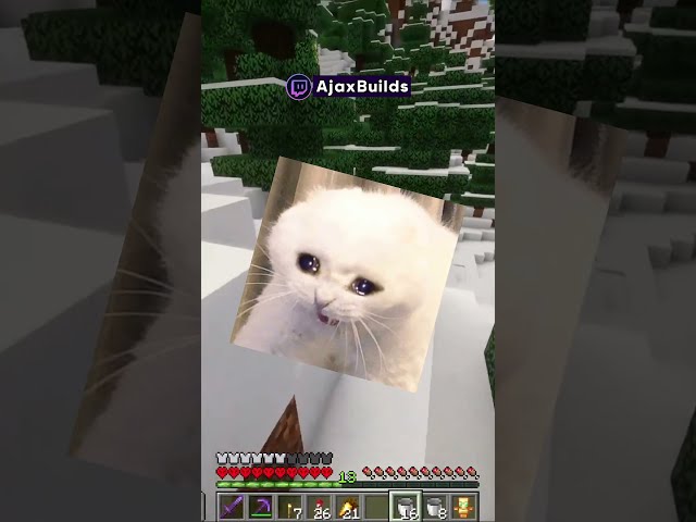 Como así que un Short?😿 #minecraft  #shorts
