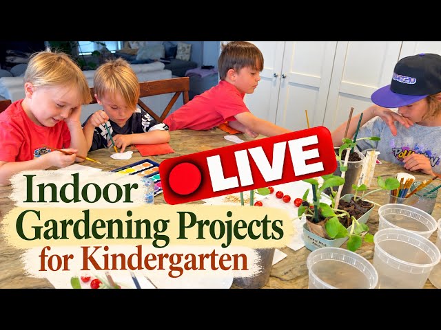 LIVE Kindergarten Vlog | Day 8