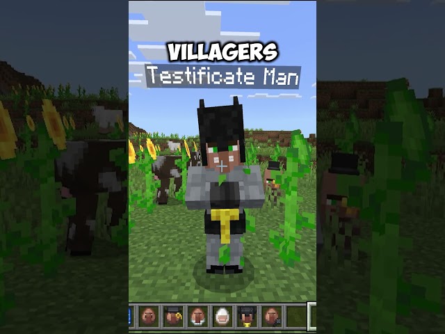 Villagers CAN TALK NOW: Villager News Addon  #minecraft