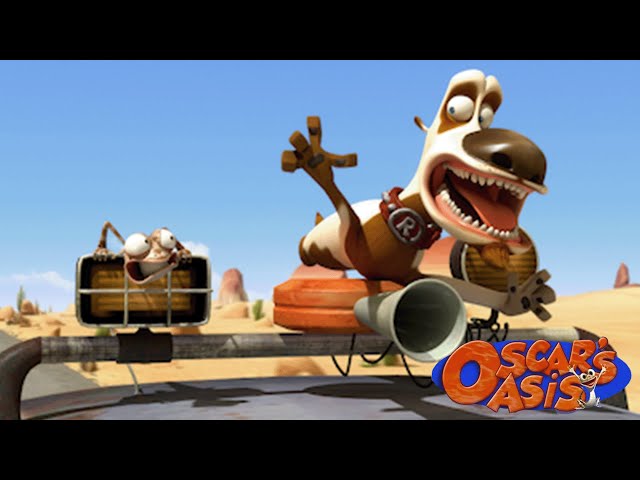 Roco's Car Chase Mayhem + More Oscar's Oasis Cartoons For Kids