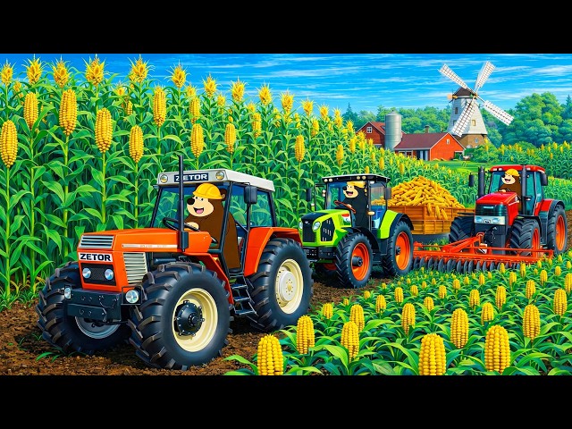 The Bear Farm: Corn Planting & Harvest  | Real Farm Animation