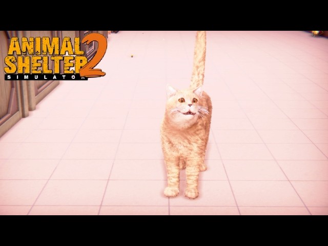 Animal Shelter 2 #245 - The Most Adorable Cats - Let's Play