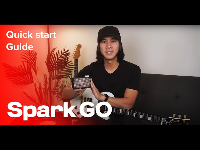 Getting Started with Spark GO