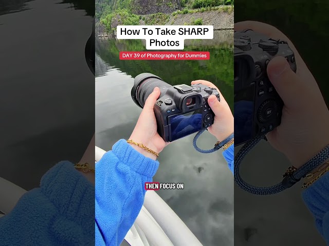 DAY 39 of Photography for Dummies