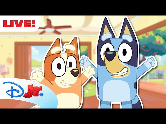 🔴 LIVE! 24 HOURS Bluey Full Episodes | @disneyjr x @BlueysBestestFriends