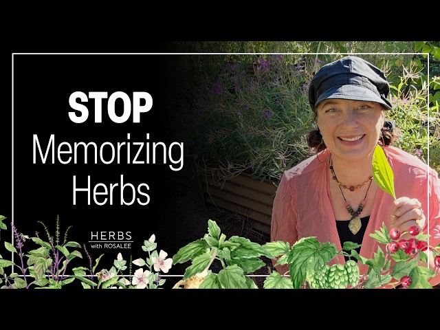 How to Read Any Herb Without Looking It Up