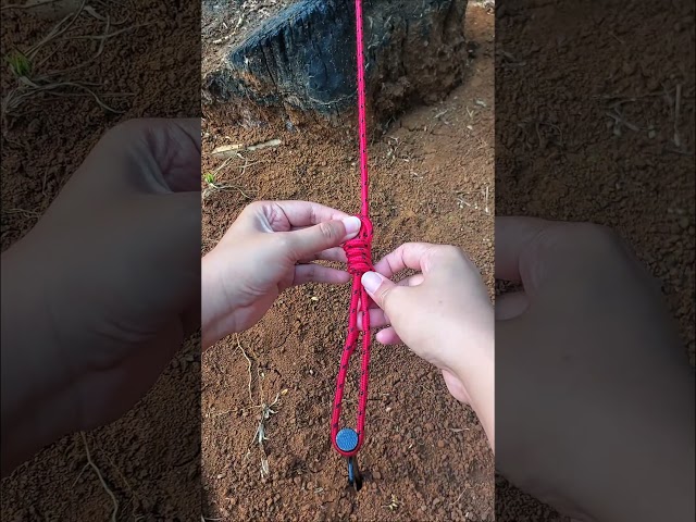 One Simple Knot Every Beginner Needs #knot #rope #bushcraft #diy #tutorial