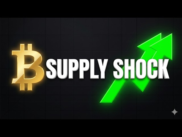 Bitcoin Halving Explained: Why BTC is Entering a Massive Bull Market! 📈