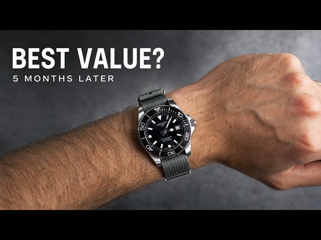 After 5 Months: The Watch I Recommend Most To Any Collector
