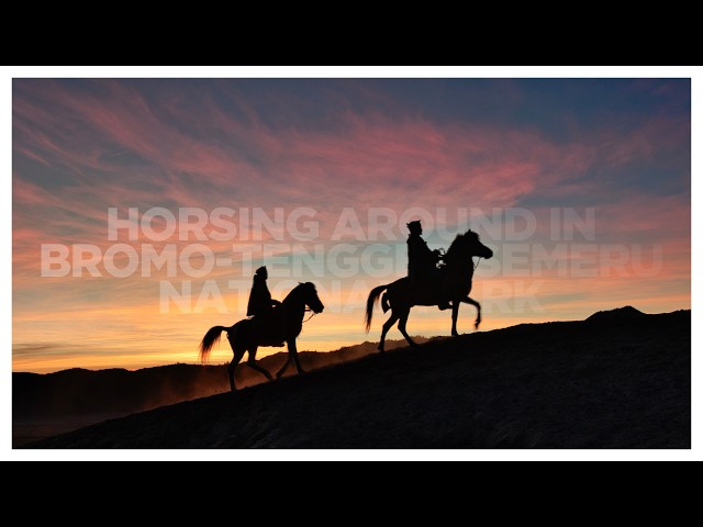 Horsing Around in Bromo-Tengger-Semeru National Park
