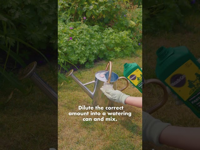 Your quick tip for summer lawn care! 🌿